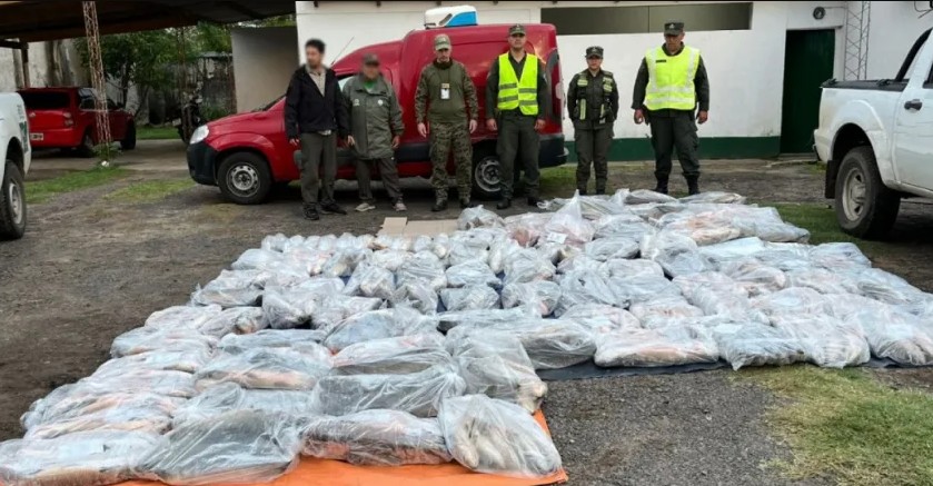 Corrientes: decomisan 950 kilos de pescados que eran trasladados ilegalmente