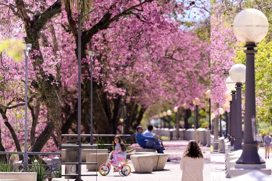 Por fin un respiro: ¡llegó la primavera y los días a pleno sol!