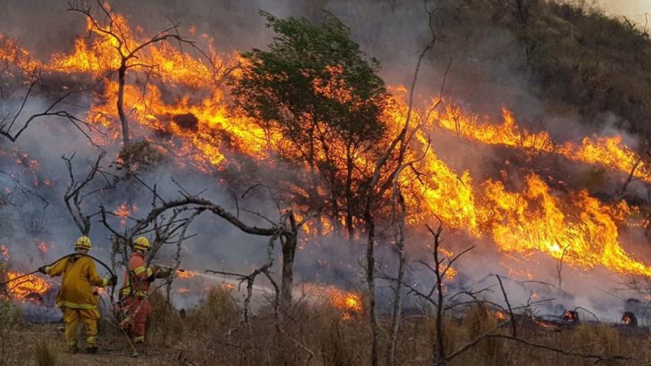 Córdoba: continúa la lucha contra el incendio forestal en Guasapampa, que ya alcanzó el Parque Nacional Traslasierra