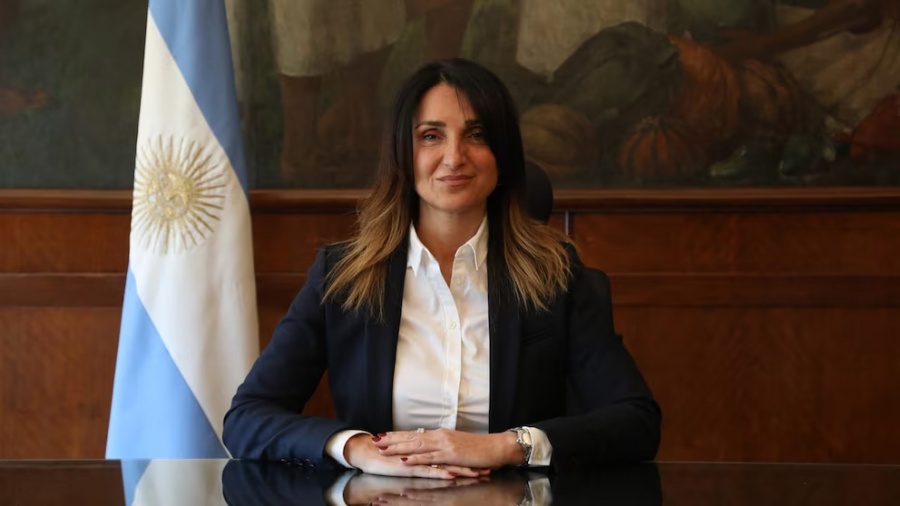 Renunció la viceministra de Salud, Cecilia Loccisano